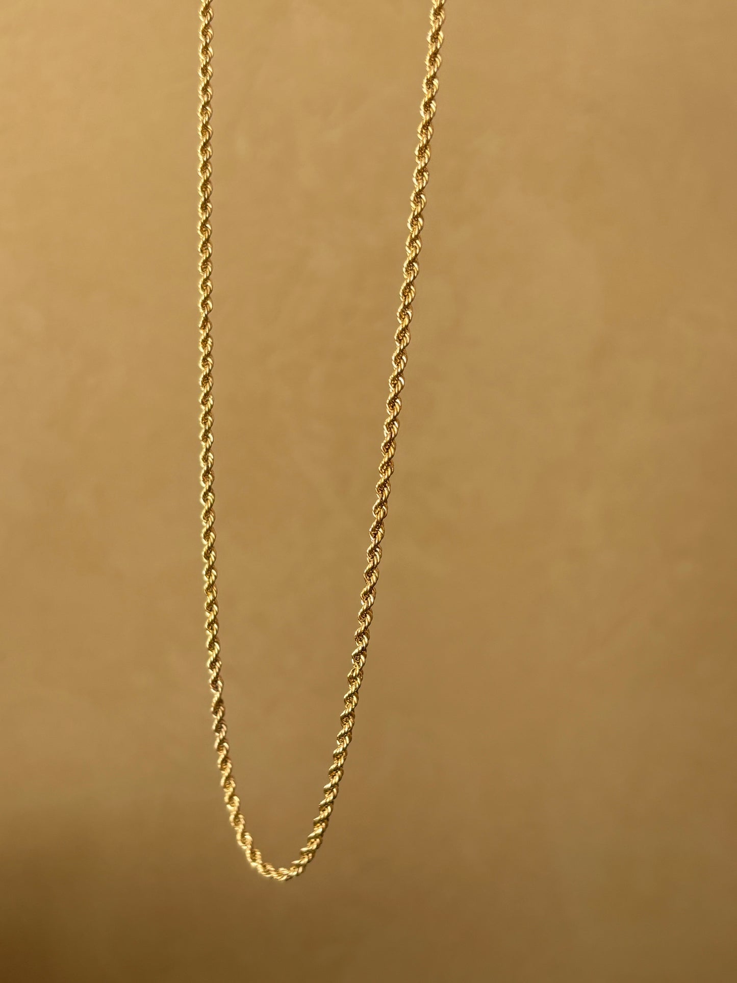 Devon’s Pick: Vintage, 10K Gold Rope Chain